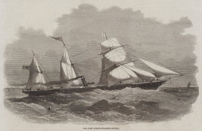 The New Screw-Steamer Sicilia by Edwin Weedon